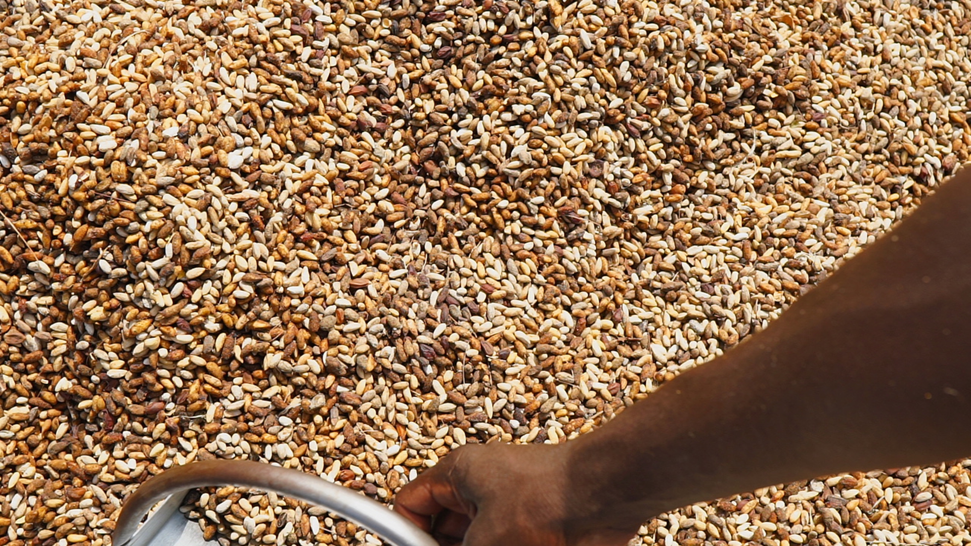 TotalCare by NatureNeem