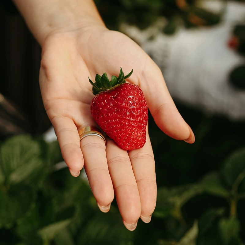 Azact best way in Brazil - Argricultura organica