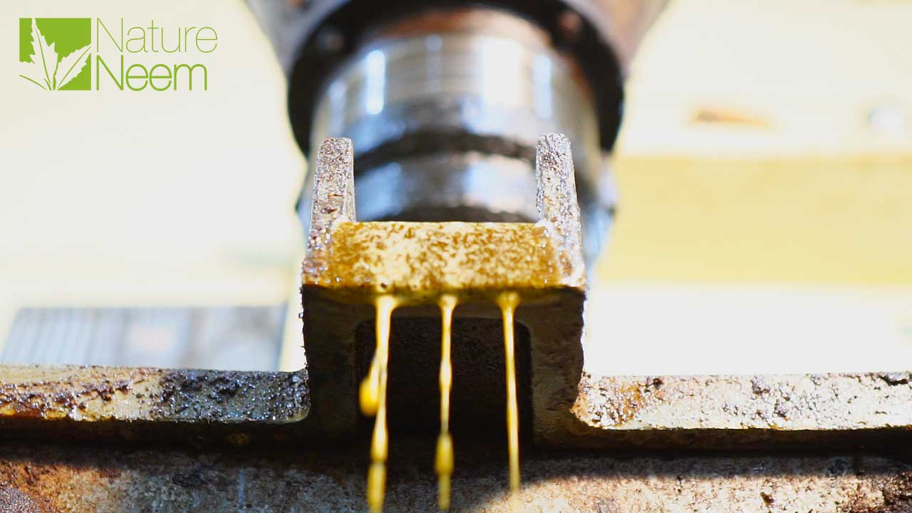 Nature Neem Best quality and #1 Neem oil from India