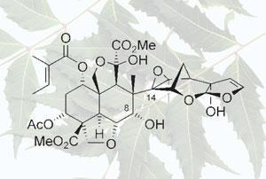 The Azadirachtin molecule from Steven Ley (University of Cambridge)