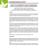 Neem leaf as antifungal against dandruff